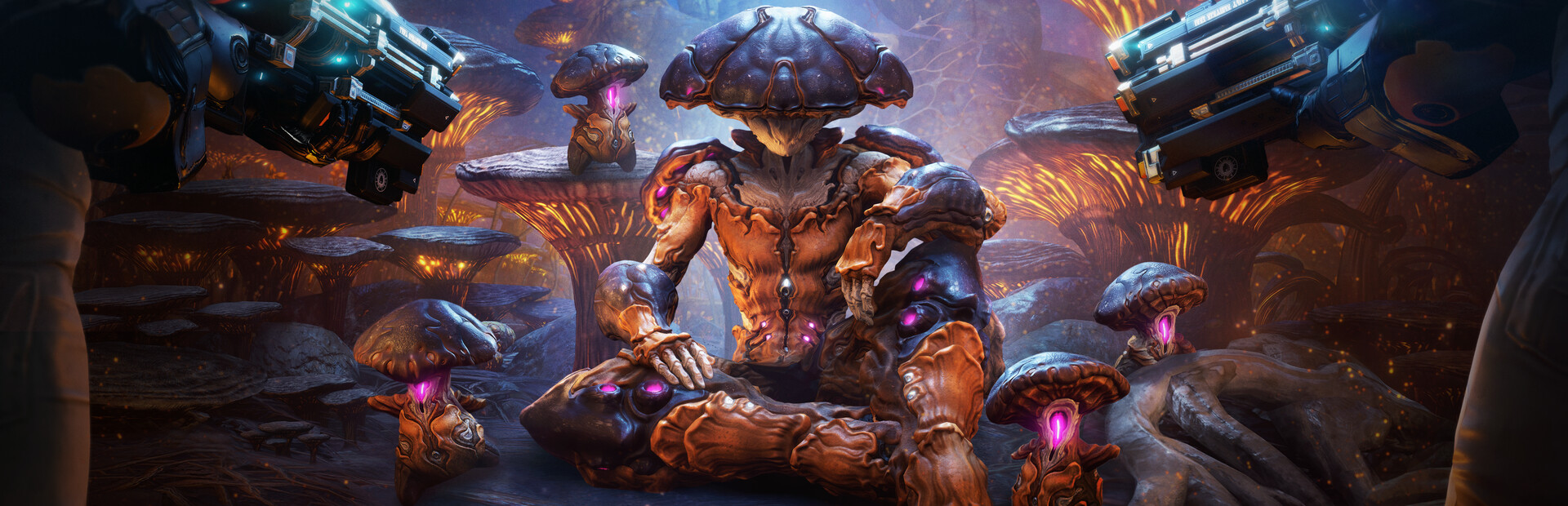 Warframe cover image