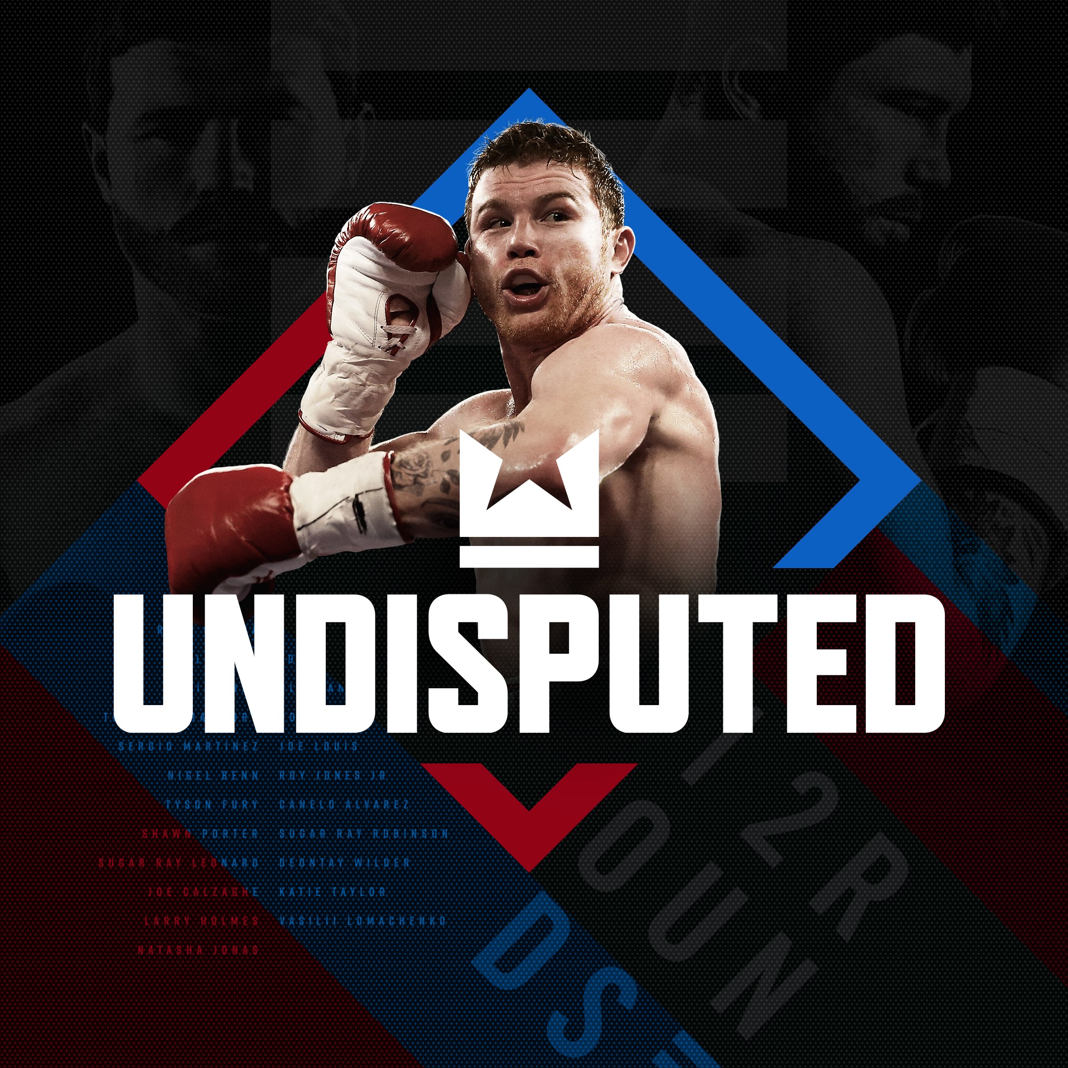 Boxart for Undisputed