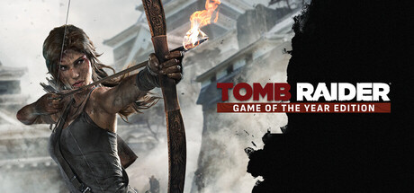 Boxart for Tomb Raider Game of the Year